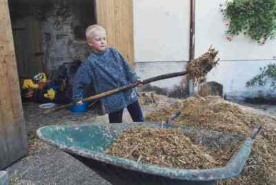 silage